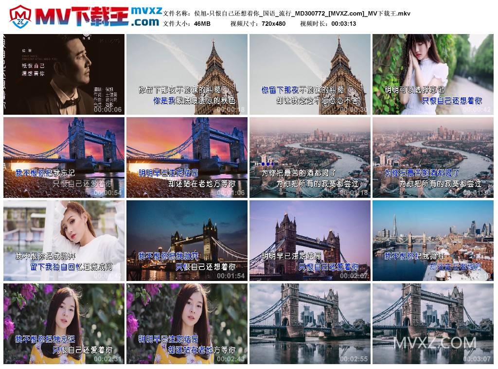 侯旭-只恨自己还想着你_国语_流行_MD300772
